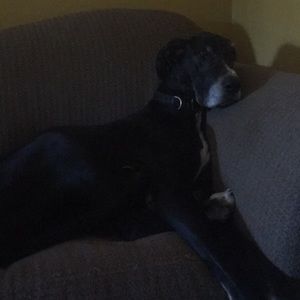 Meet your Posher, Kelli